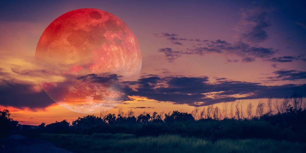 SDBY & HARDISS tweet media