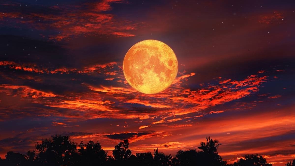 SDBY & HARDISS tweet media