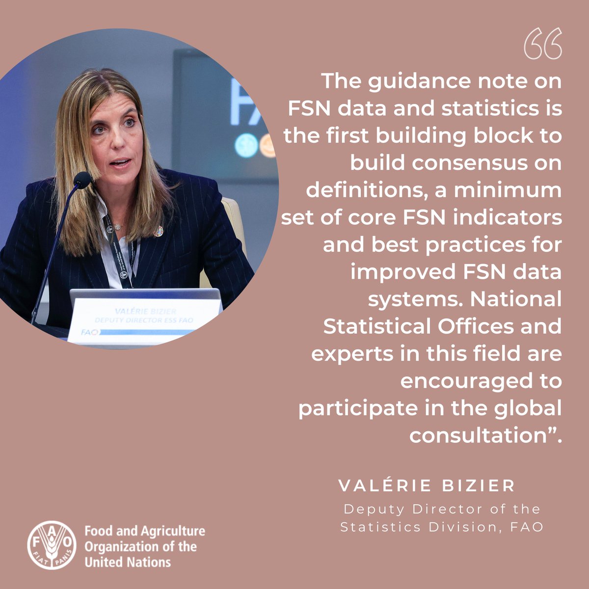 FAONewYork's tweet photo. At the @FAO-@UNICEF-@WHO #UN57SC side event on Food Security and Nutrition (FSN) data and statistics, Valérie Bizier, Deputy Director of the Statistics Division, presented the guidance note on food security and nutrition data for global consultation. https://t.co/vKNFlVauTF