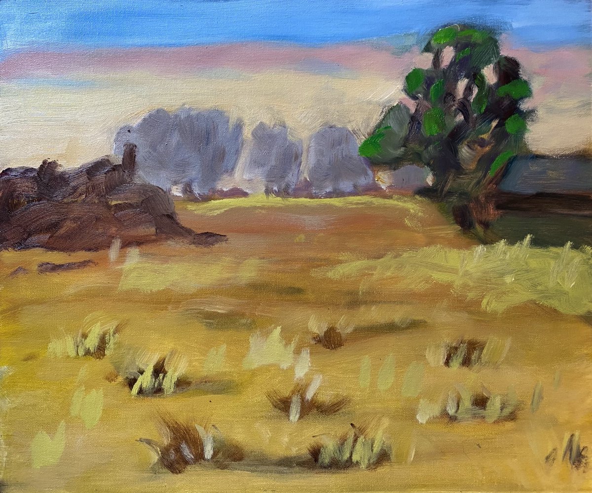 13johnno's tweet photo. Early morning mist clearing over #LesLoges #Normandie #France #landscapepainting #peinturedepaysage June ‘25 https://t.co/lKfuj6g983