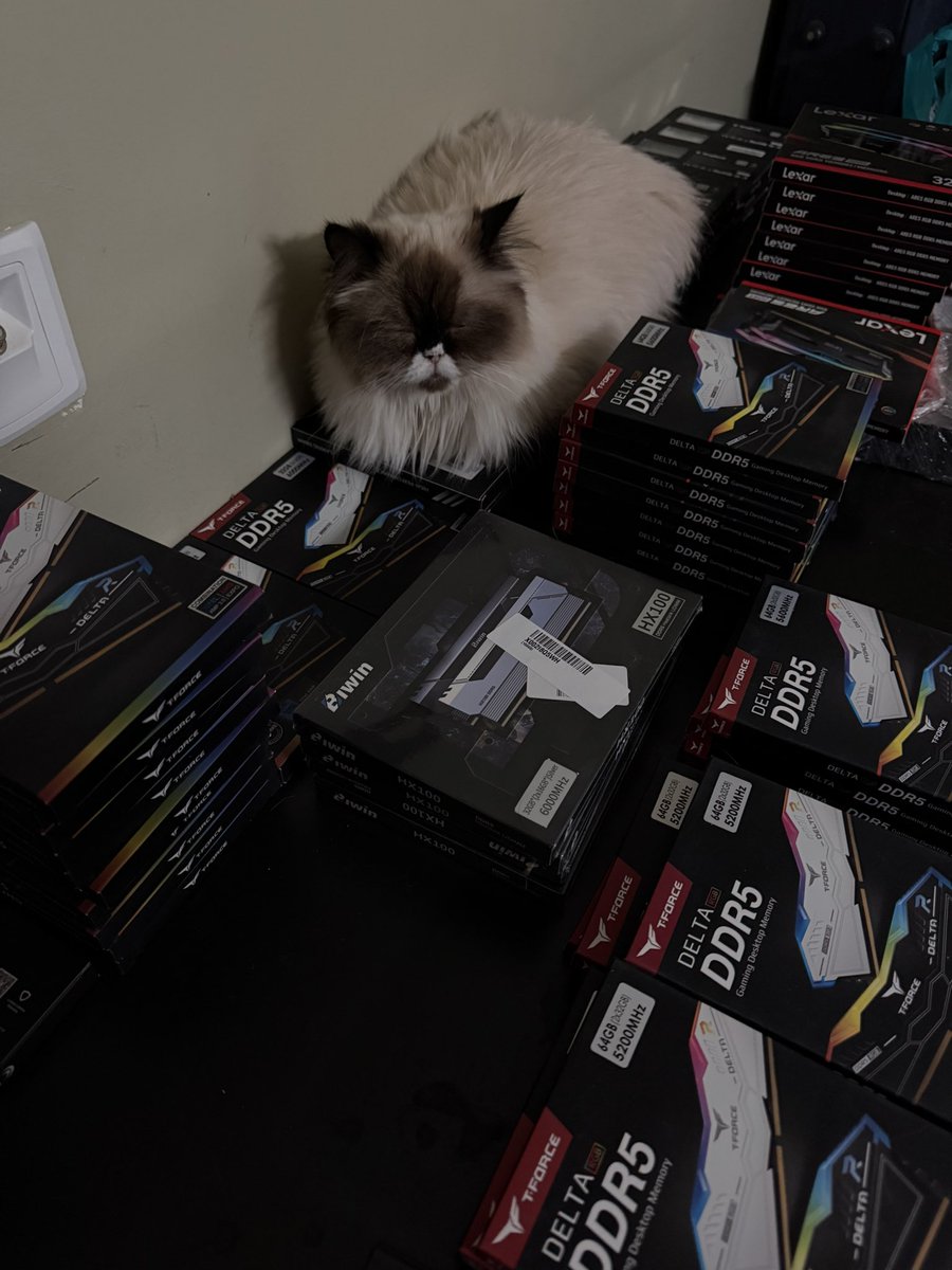 PC TechZ tweet media