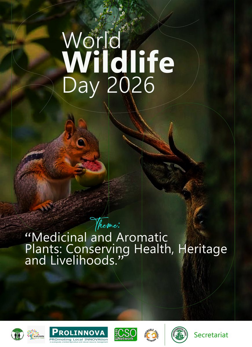 Environmental Alert tweet media