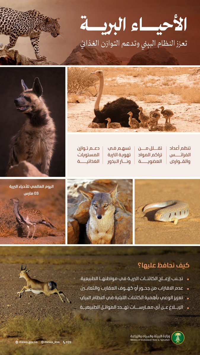 وزارة البيئة والمياه والزراعة tweet media