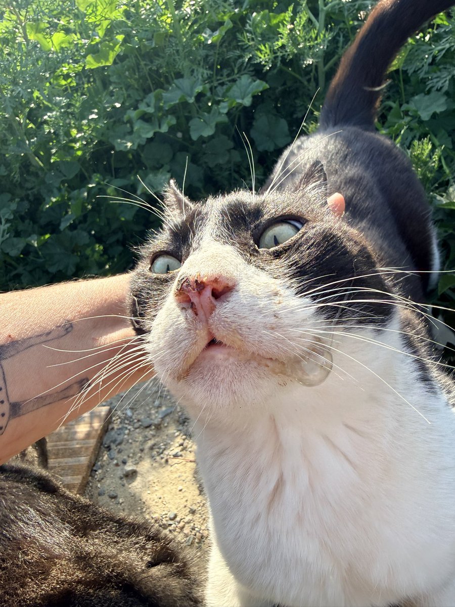 Angry Anna❤️‍🔥 tweet media