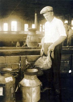 PA Senate Library tweet media