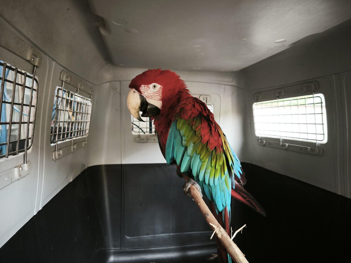 Carabineros de Colombia tweet media