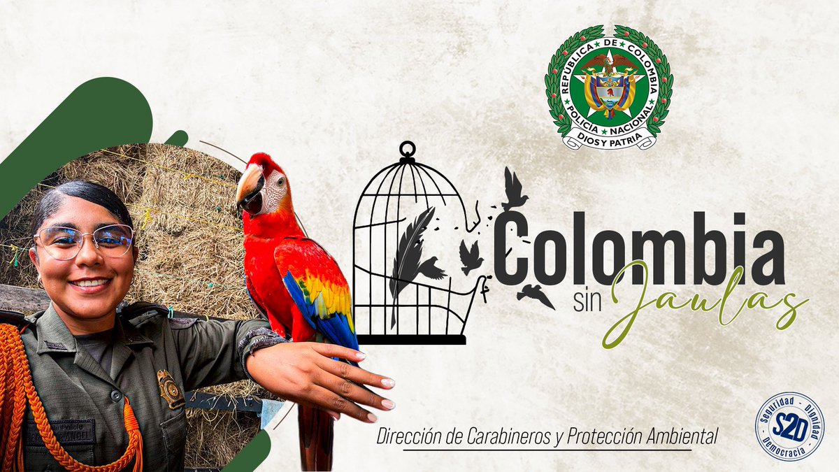 Carabineros de Colombia tweet media