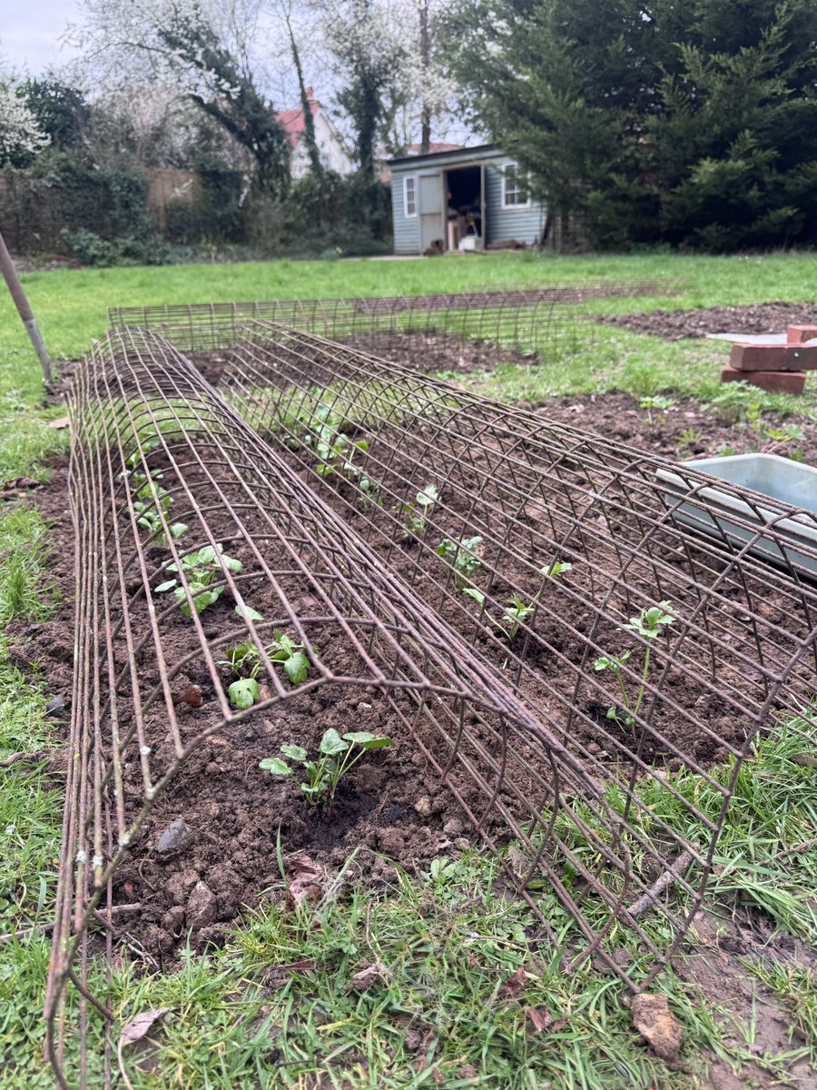 Garden Brocante tweet media
