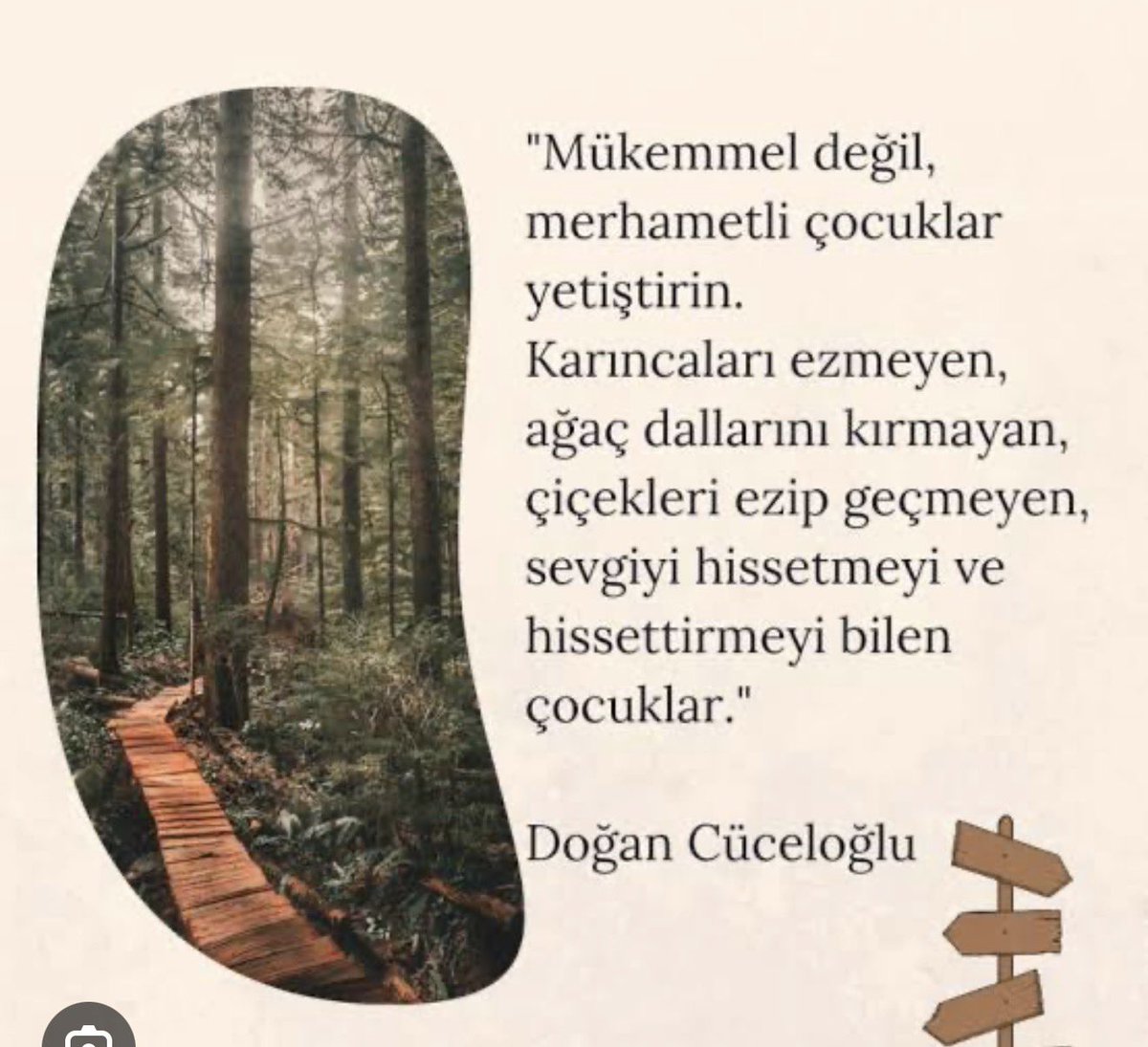 unluakyurek's tweet photo. Merhametli çocuklar yetiştirin. Çünkü dünya zekâdan çok vicdana, başarıdan çok iyiliğe ihtiyaç duyuyor. Empati kurabilen, sorumluluk alan ve kalbiyle düşünebilen çocuklar… Geleceği onlar güzelleştirecek. 🌿 https://t.co/xQGBV8G0s8