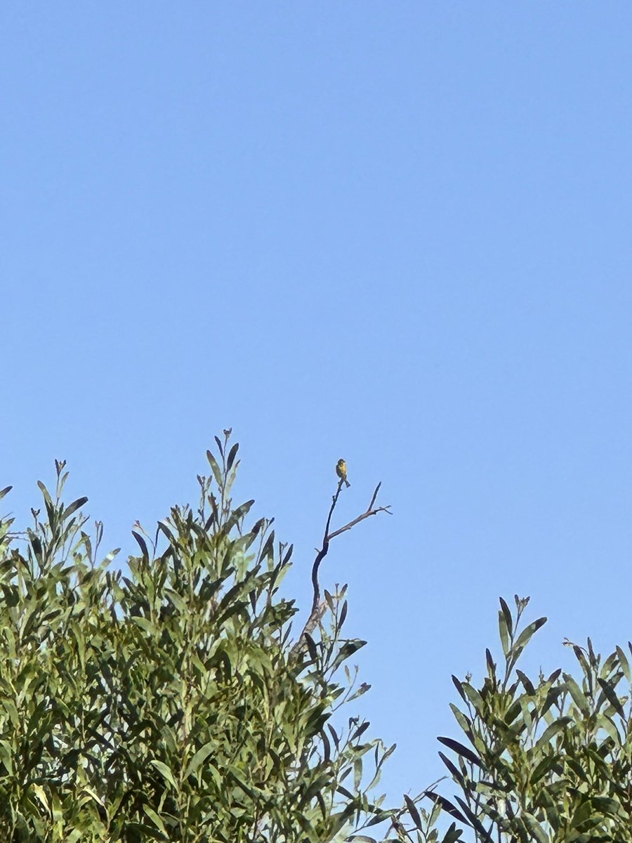 Karle Burford tweet media