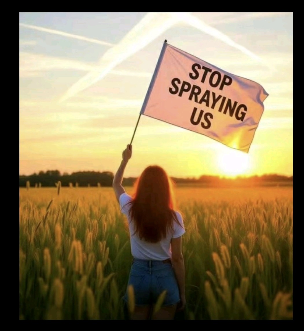 VickyAnn (@vickyhe00720110) on Twitter photo 