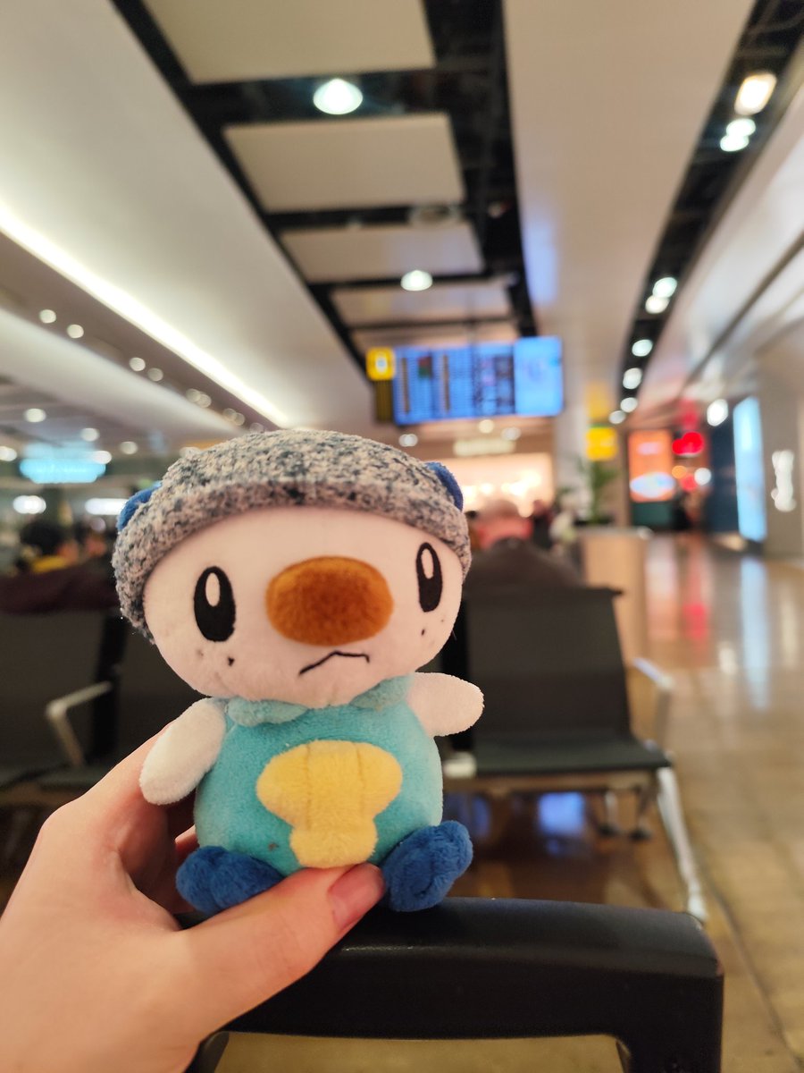 Codipop (commissions open) tweet media