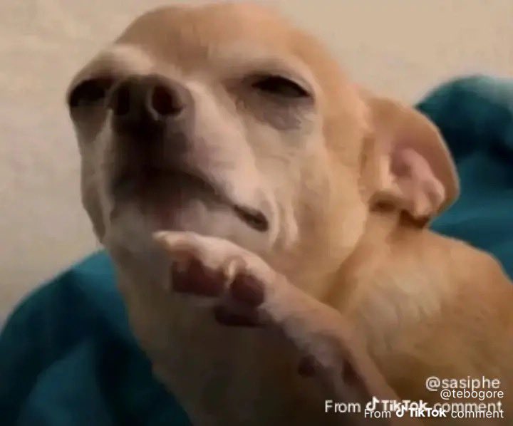 Miss Verified to you 😎 ngithi hello 🥰 phela very soon I’ll be tweeting “small accounts matter “ 😝🤣🤣🤣🤣