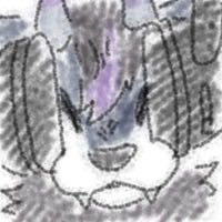 星海StO tweet media