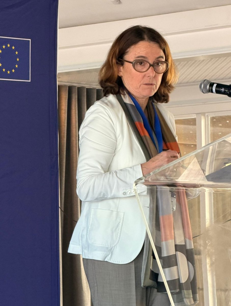 EU in SA tweet media