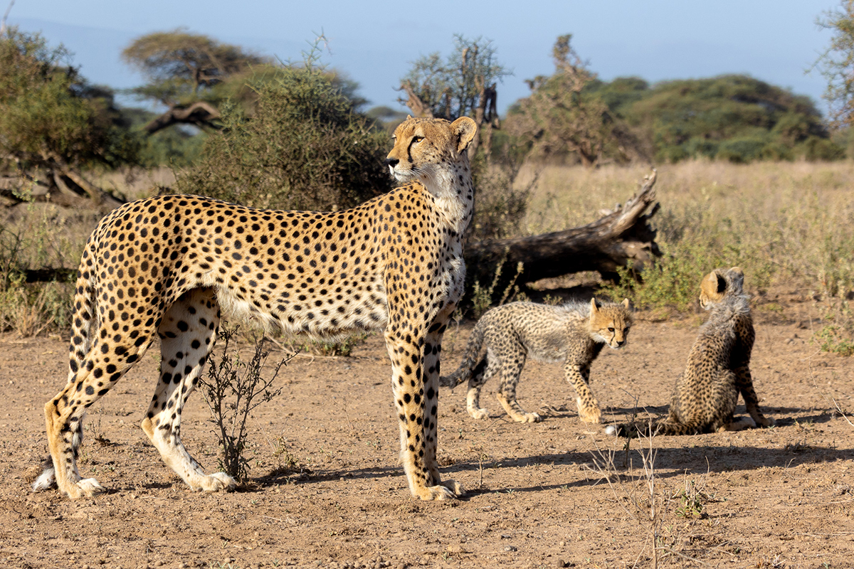 Big Life Foundation tweet media