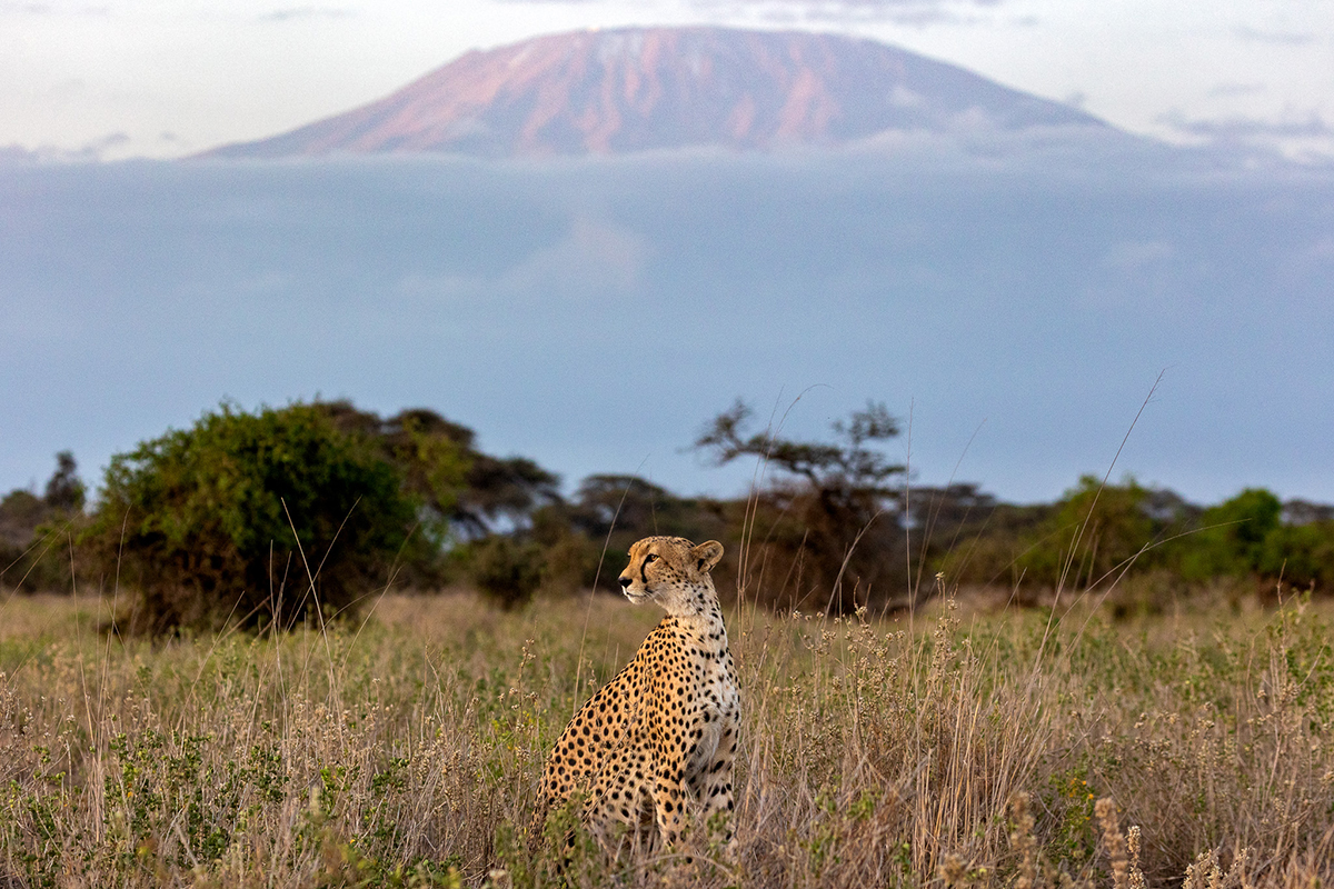 Big Life Foundation tweet media