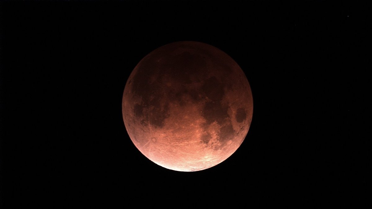 Mark Sailer tweet media