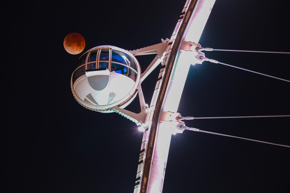 Tyler Leavitt owner of tslclick.com tweet media