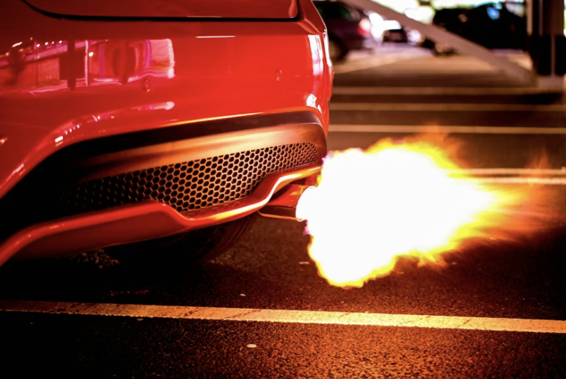 Donna Fluss tweet media