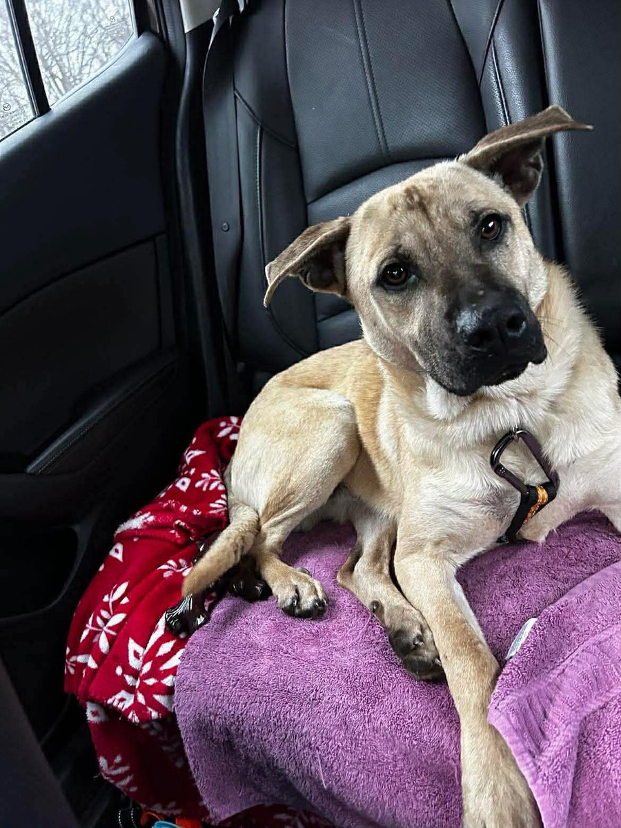 Donna Lac tweet media