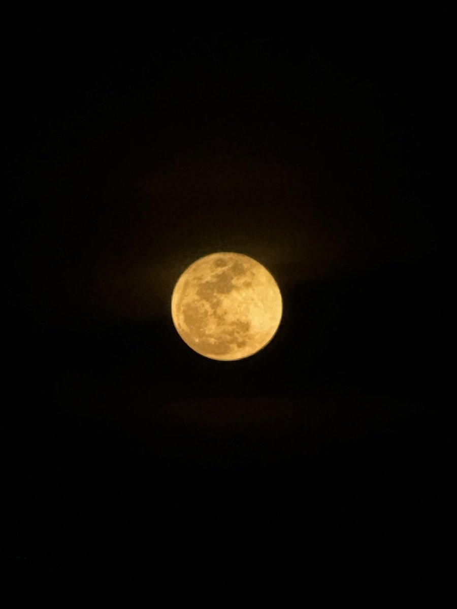 scibutch's tweet image. look #at the moon