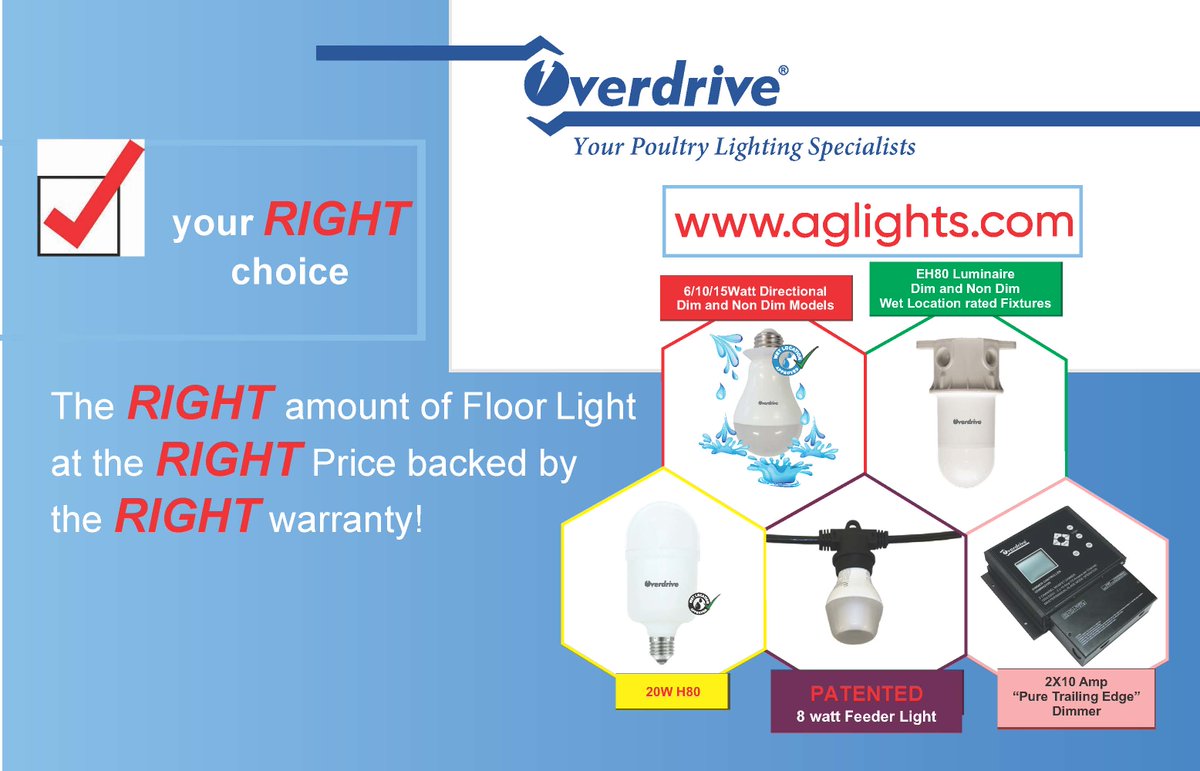 Poultry Times tweet media