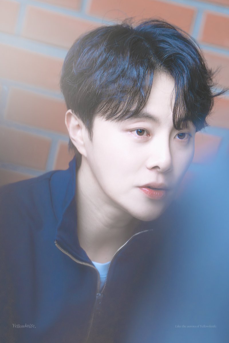 𝒀𝒆𝒍𝒍𝒐𝒘𝒌𝒏𝒊𝒇𝒆 tweet media