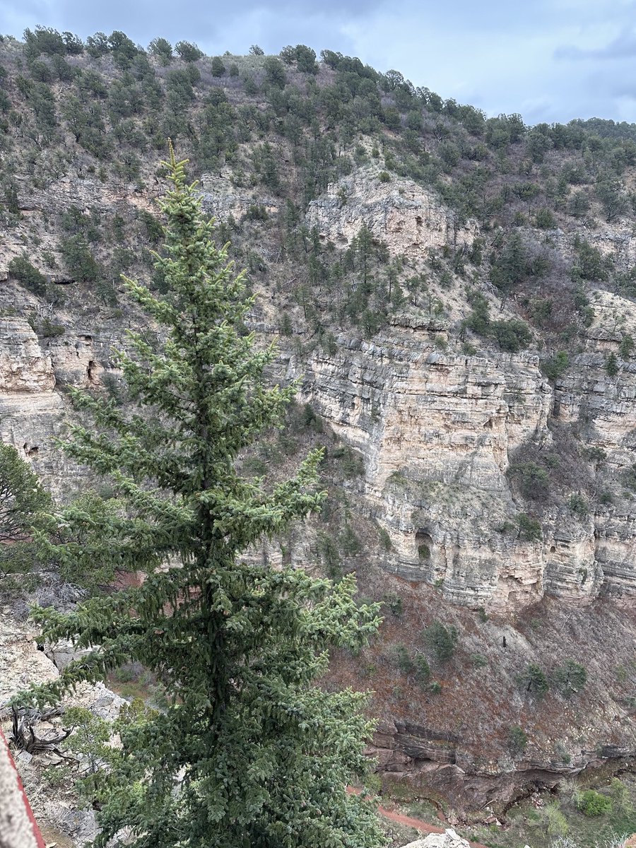 Game Day - Silver Creek 20-4 travels to Eagle Valley 20-3 for a sweet 16 clash! Game time 6:00 PM. <a href="/SCRaptorsAD/">Silver Creek AD</a> <a href="/SilverCreek_HS/">Silver Creek High School</a> <a href="/goSVVSD/">Chase McBride</a>