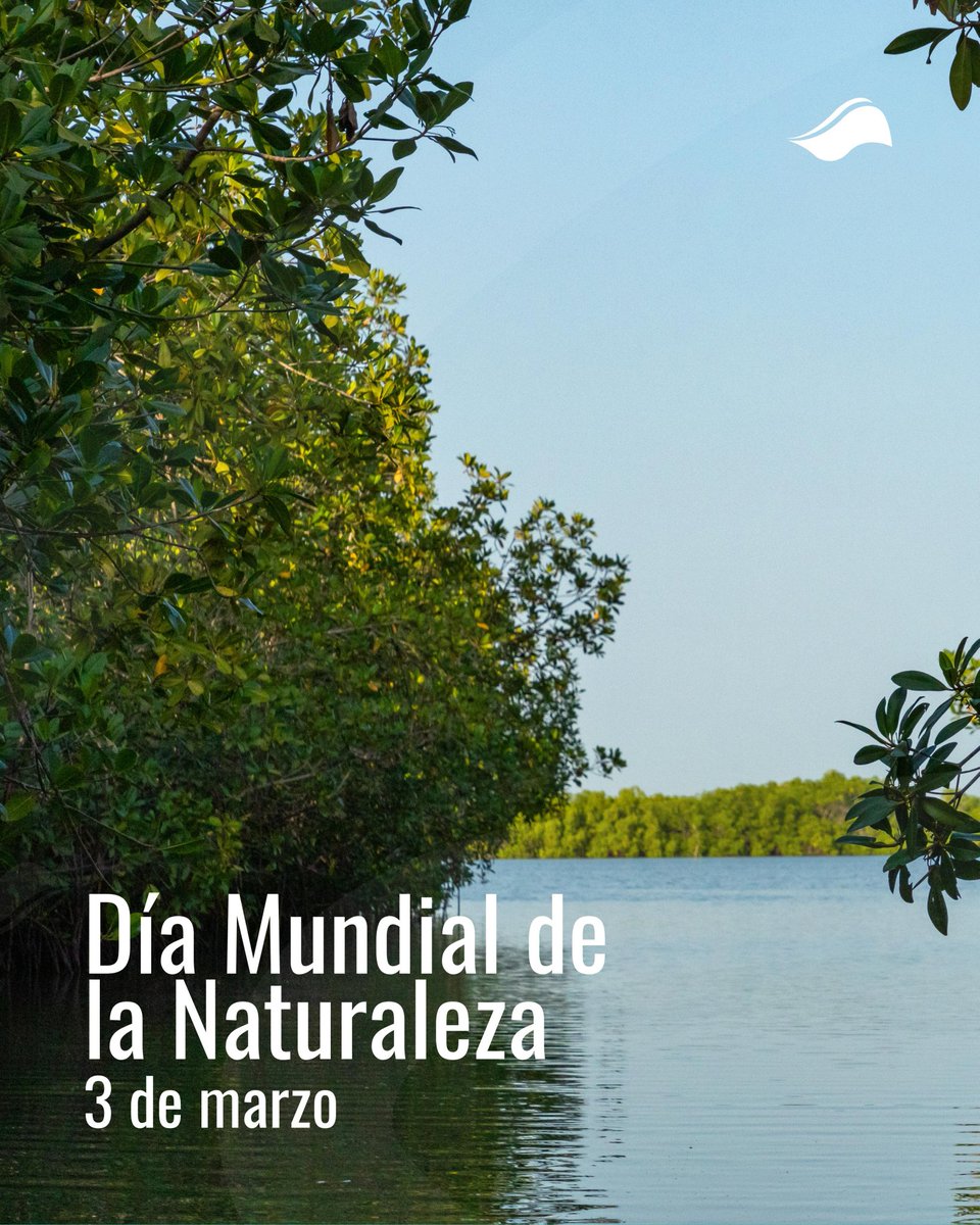 CIAM Panamá tweet media