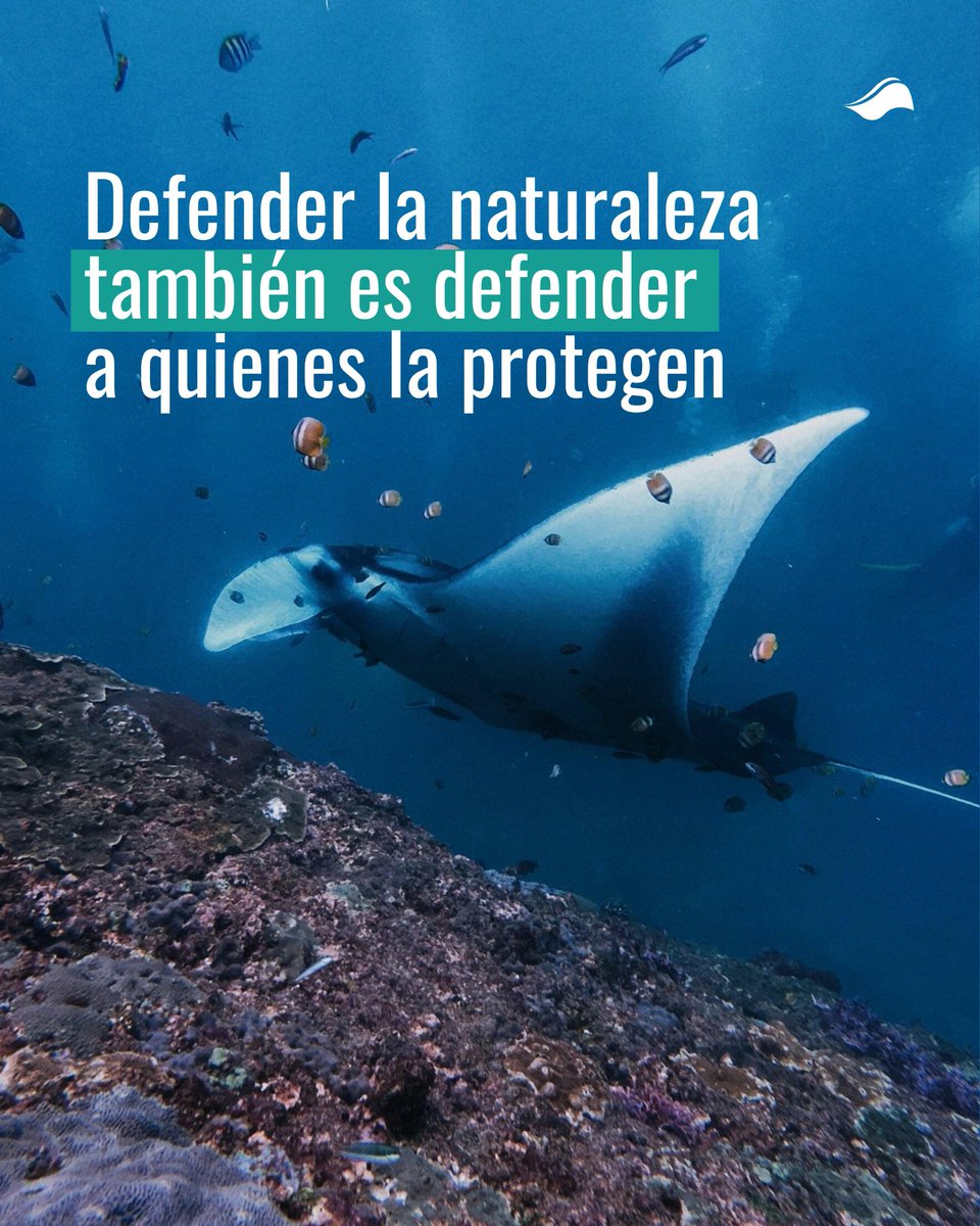 CIAM Panamá tweet media