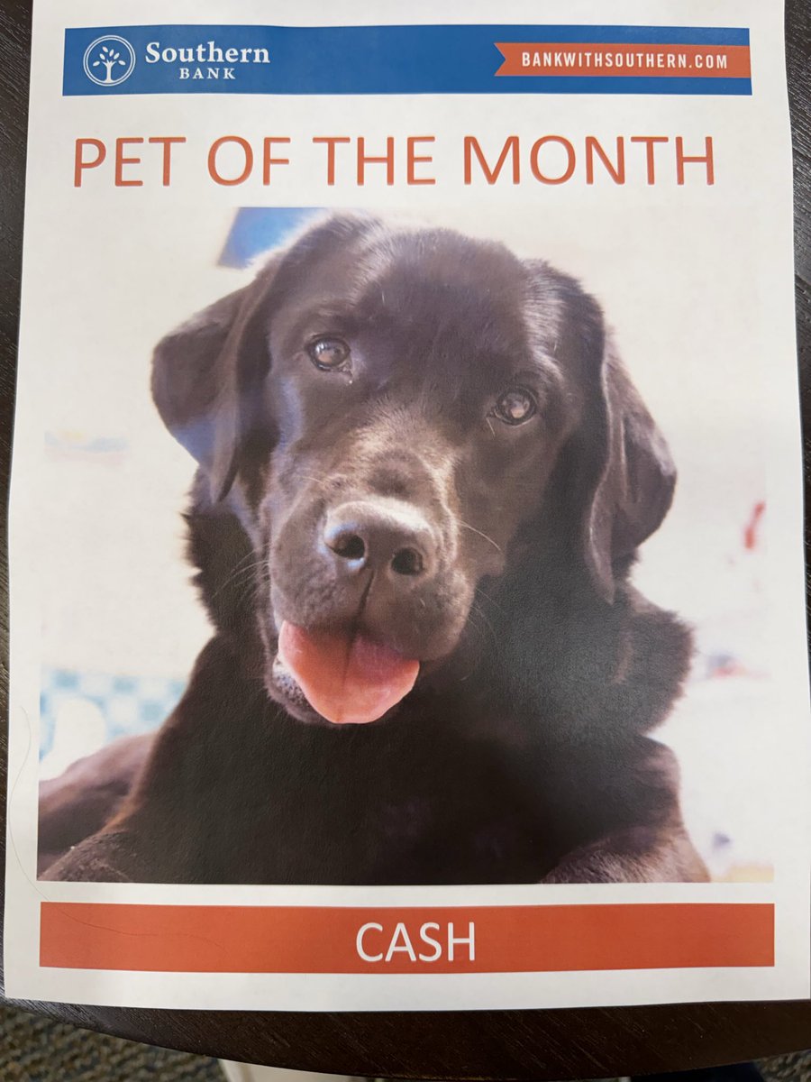 BlueEyeSchools's tweet photo. We are proud to share that our very own Cash has been named the Southern Bank Pet of the Month!!!  Thank you to our partners at Southern Bank for recognizing her!
@Southernbank1 https://t.co/ywCtRpvmtS