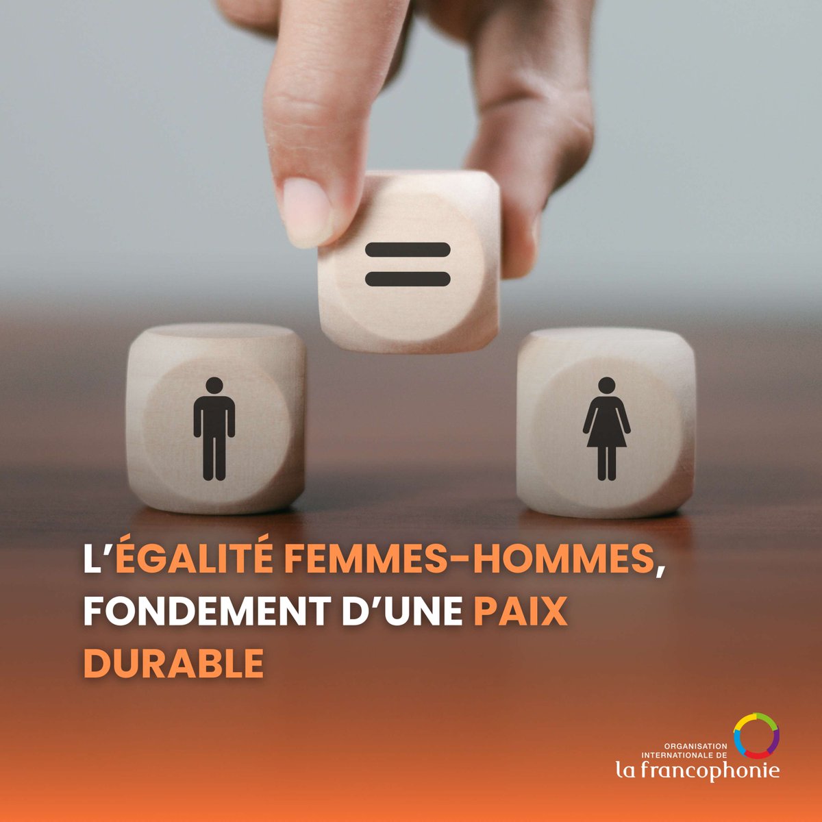 La Francophonie tweet media