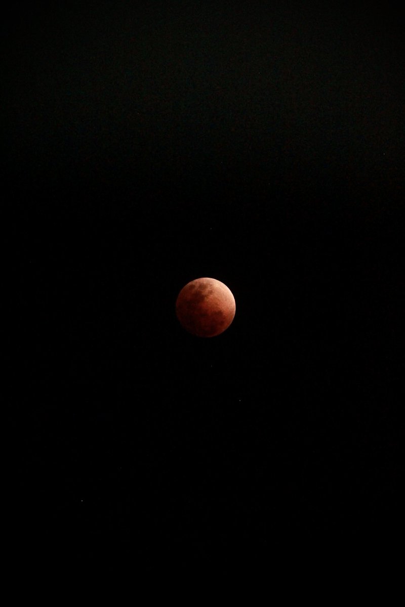 JEONGlNAMO's tweet image. blood moon lunar eclipse from our rooftop 

shot on iphone 13