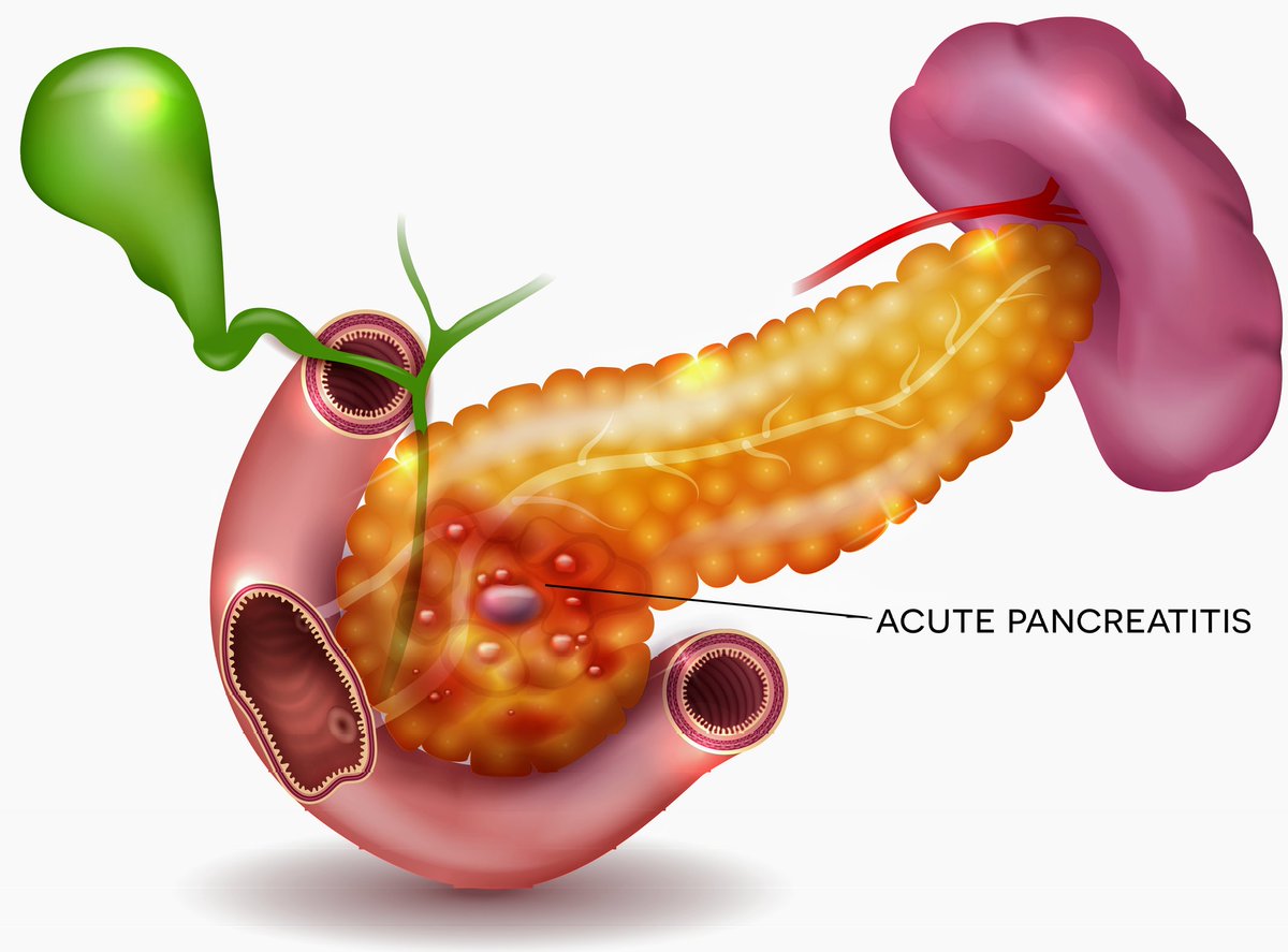 Dr Abdul Hameed 🩺 tweet media