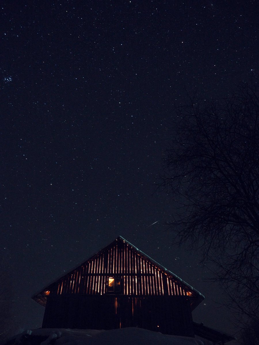 Ебенолог Глушеведович 🌲 tweet media