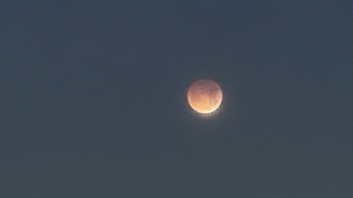 Susan Wenger tweet media