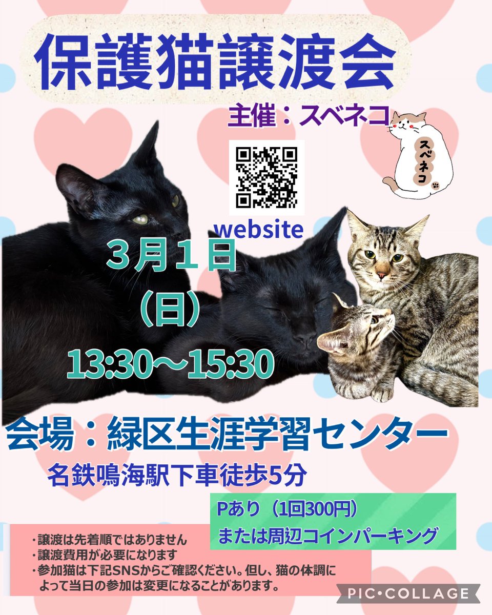 subeneko5656's tweet photo. ＃拡散希望

保護猫讓渡会

3月8日（日）
午後1時～3時
天白区・野並どうぶつ病院
天白区野並3丁目484
地下鉄桜通線野並駅下車徒歩5分
※Pあり （病院正面・横）

かわいいにゃんこ達がお待ちしております🐾

＃保護猫譲渡会
＃里親募集猫
#ねこ好きさんと繋がりたい
＃ねこすたぐらむ https://t.co/sqcImC3yOM