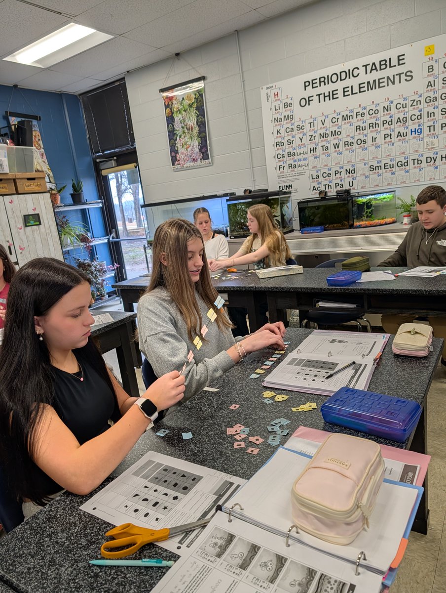 FHS9Academy's tweet photo. Protein Synthesis. Students get crafty in Biology making their own proteins on floral wire to see how they fold! https://t.co/9xqArSGkQ5