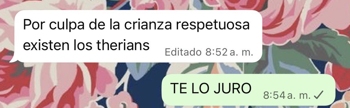 Jose de Cabo tweet media