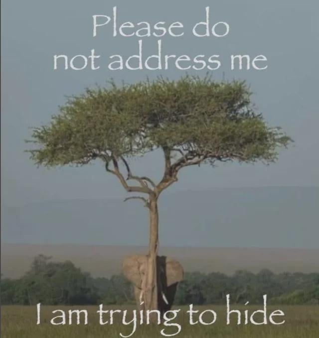 Doge Master tweet media