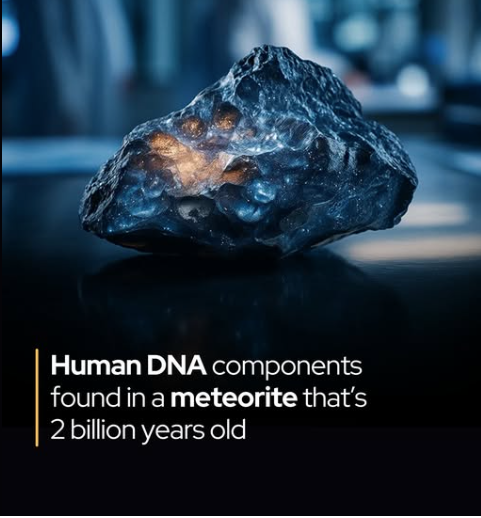 A 2-billion-year-old rock just revived an old alien theory.

Fresh findings from NASA and Japan’s space agency reveal that asteroid Bennu—a carbon-rich relic from the solar system’s infancy—contains key ingredients of life: 14 of the 20 amino acids used by Earth’s organisms, plus