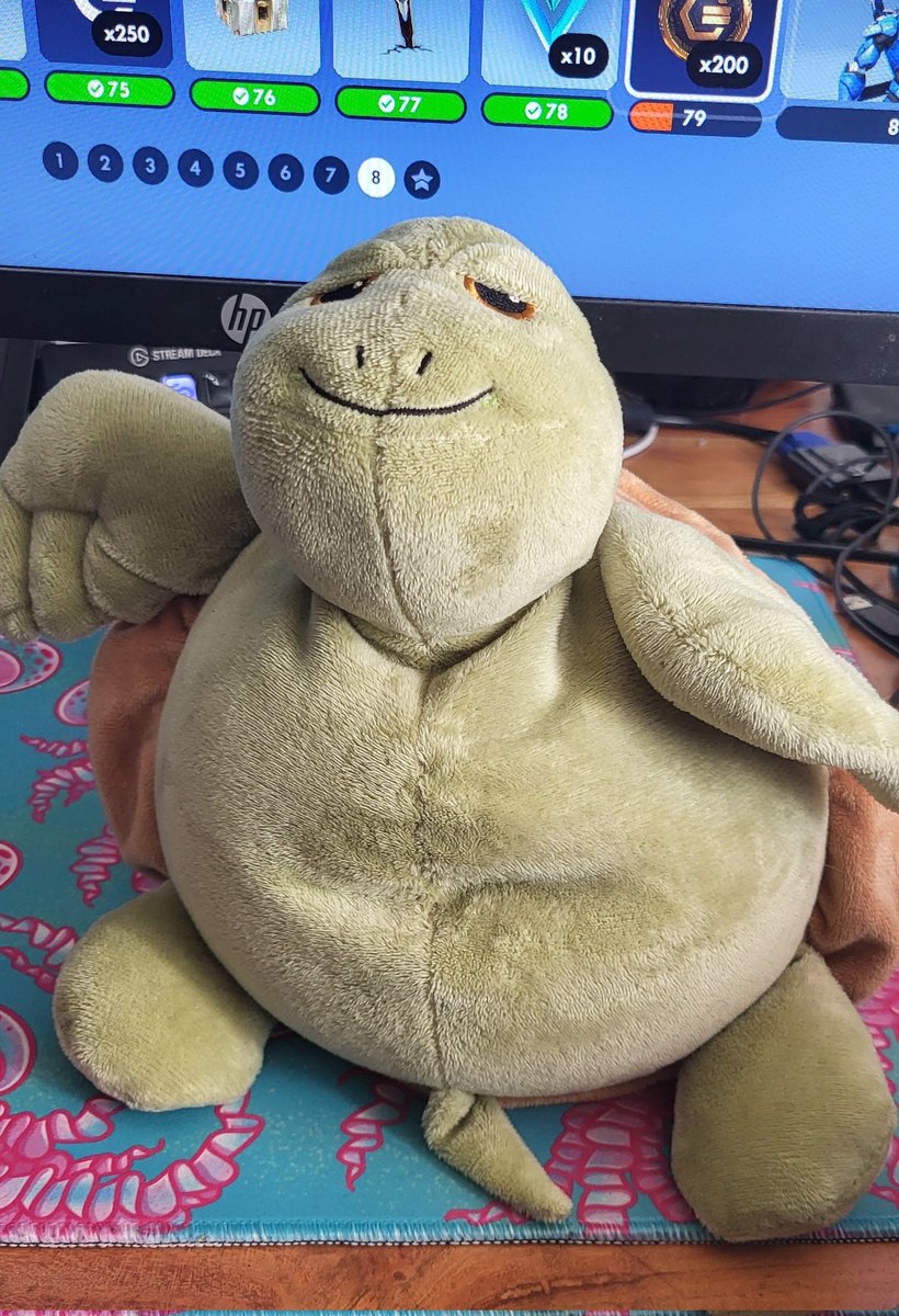 Keiy Schilon🍉🐢 | DOKOMI 2026 tweet media