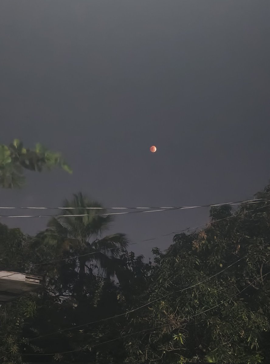 CDRabbittokun's tweet photo. Red Moon
#lunareclipse https://t.co/PcuD0v3mkF