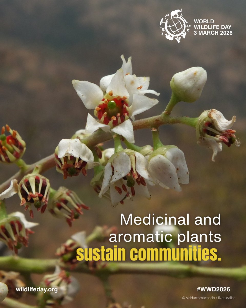 UNDP Kazakhstan 🇰🇿 tweet media