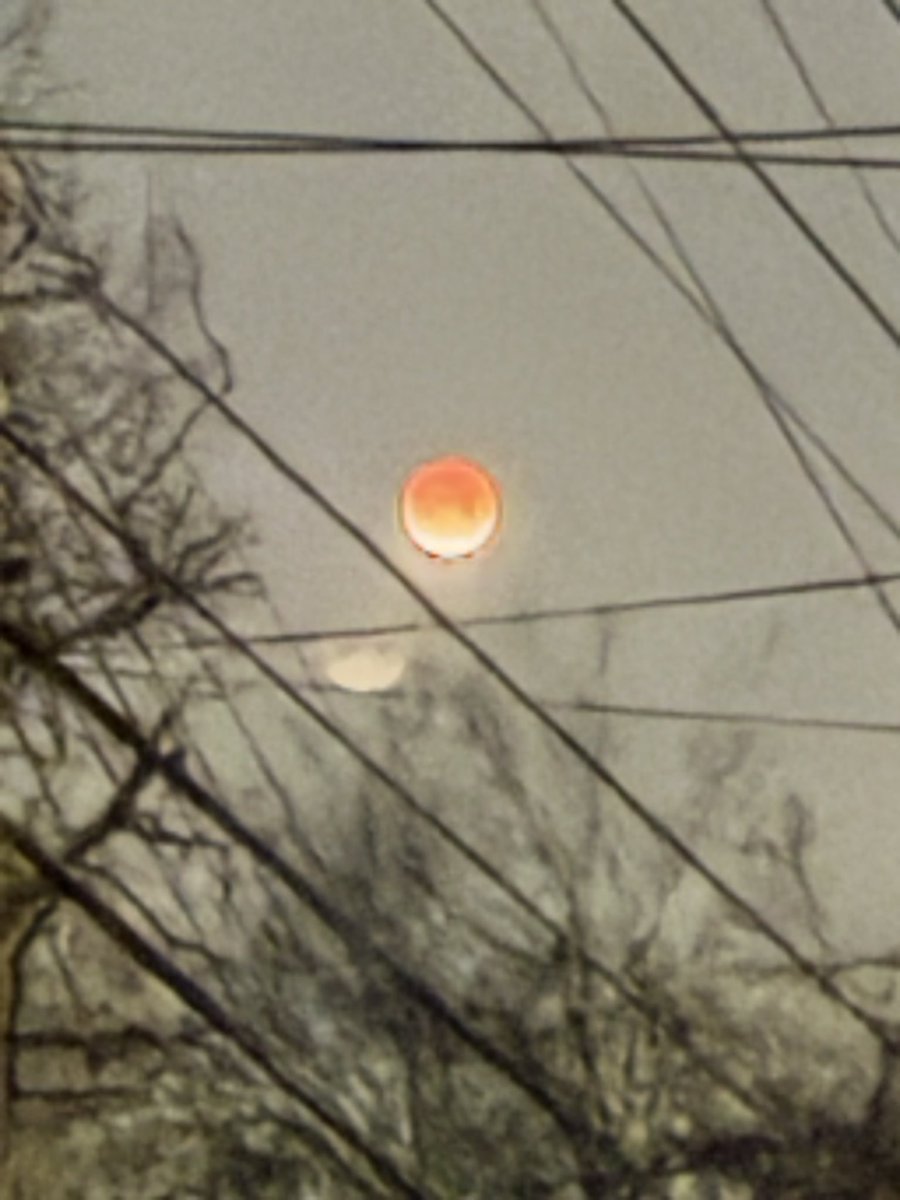 Phil Walton tweet media