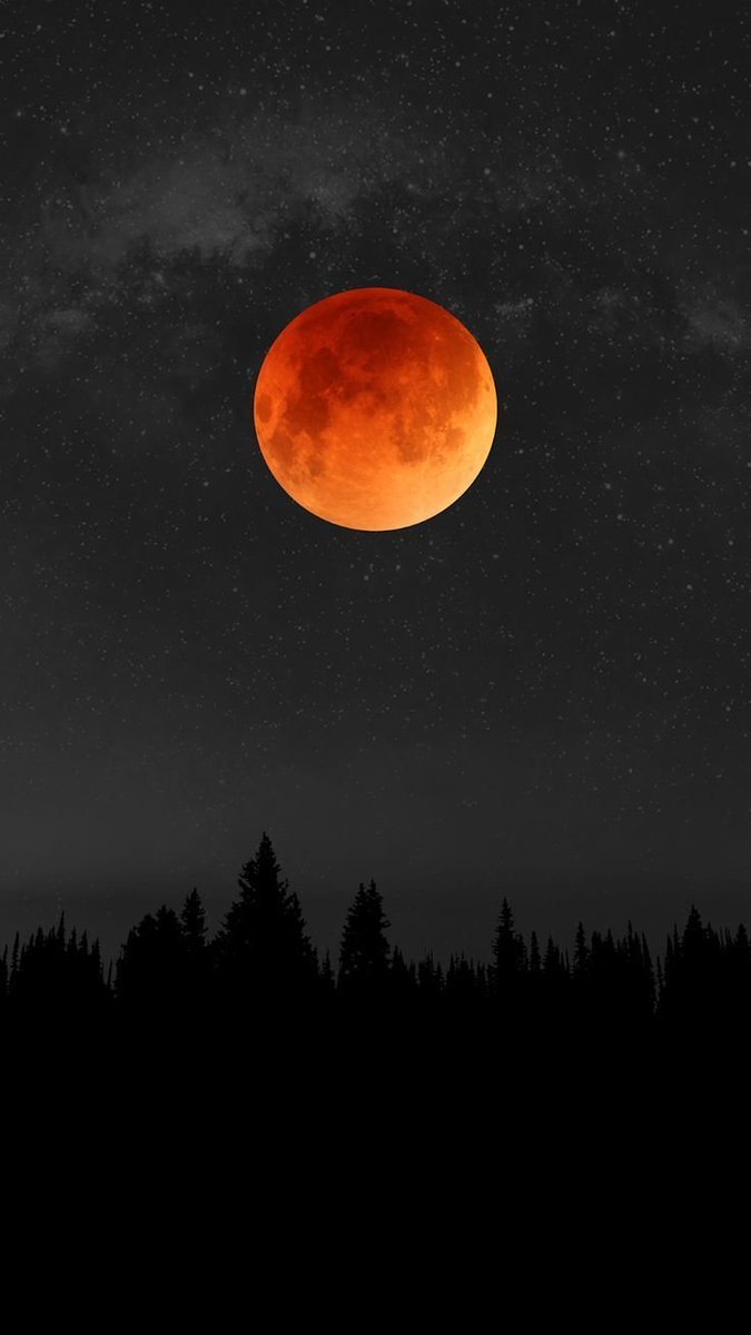 forallcurious's tweet photo. 🚨: The moon has fully entered Earth's shadow, becoming a total lunar eclipse.  

A red moon is floating in the sky. https://t.co/rBDQ70rvfq