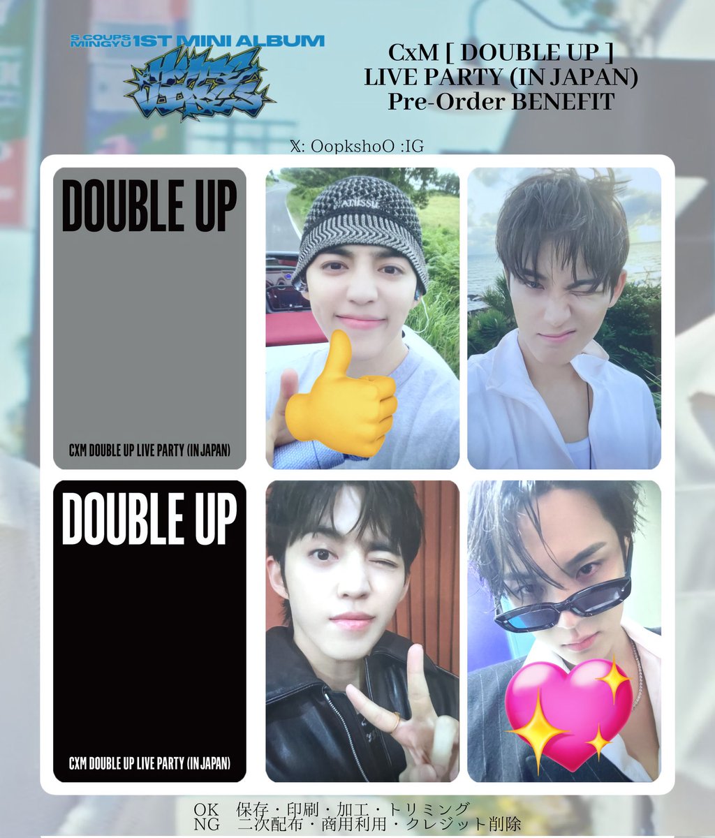 SEVENTEEN セブチ cxm double up live party japan ギュチョル トレカ