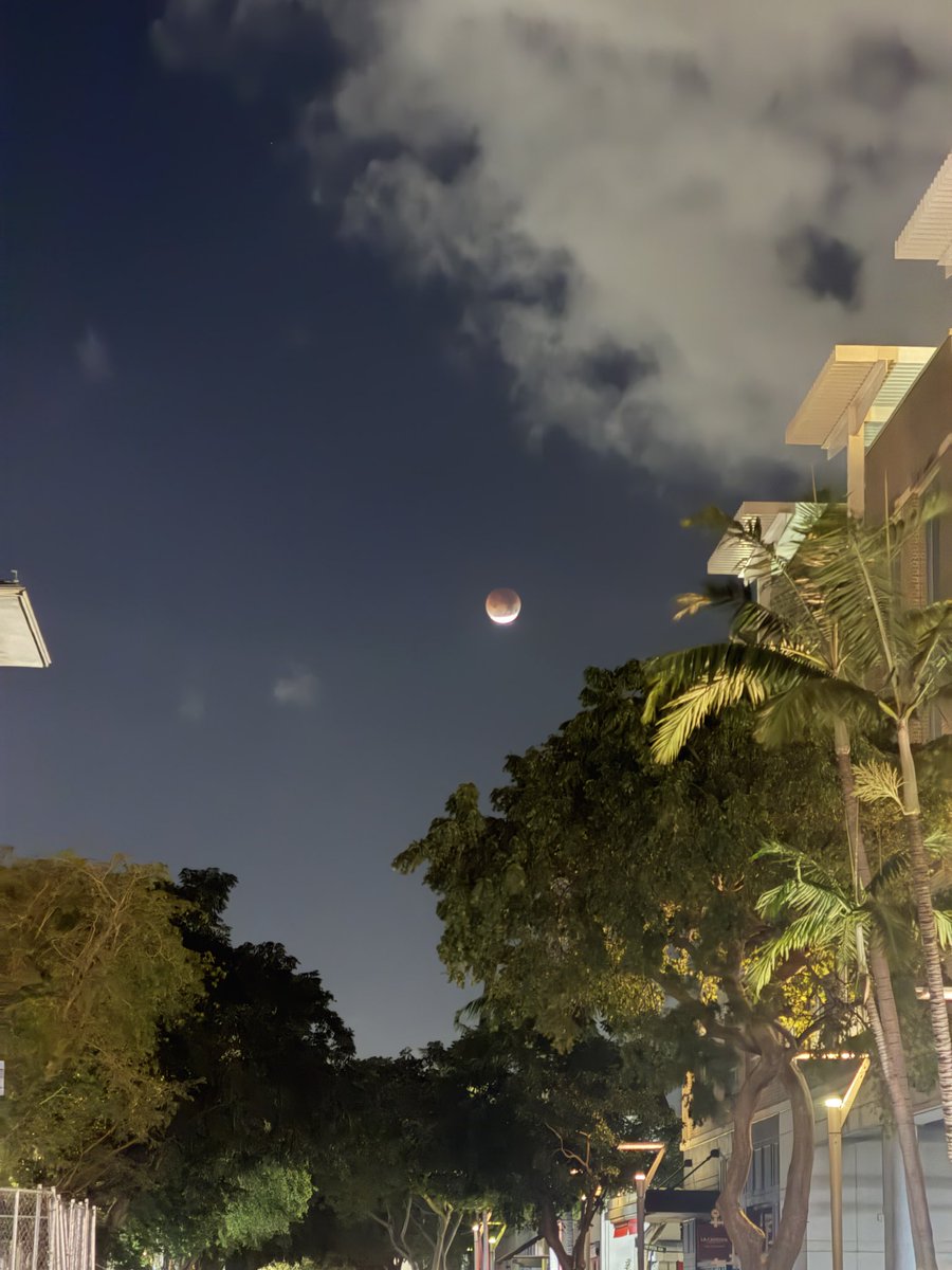 Amanda Hitt tweet media