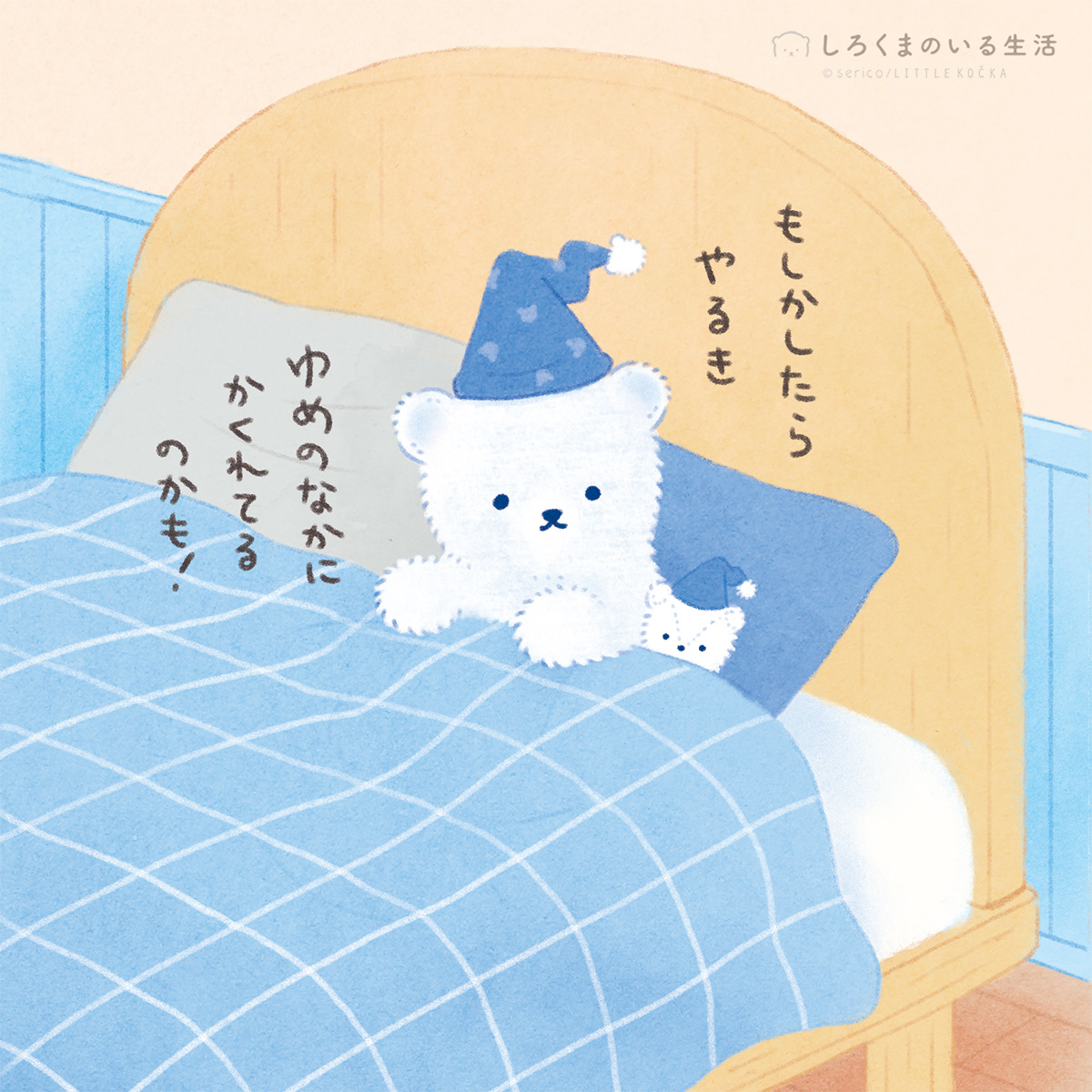 しろくまのいる生活🧸serico tweet media